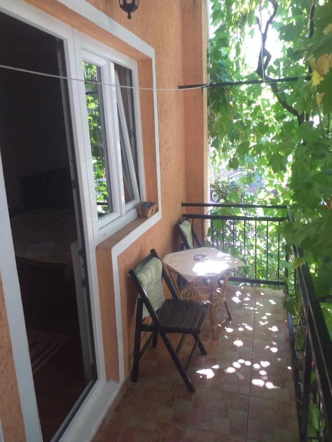 Djacic Guest house *