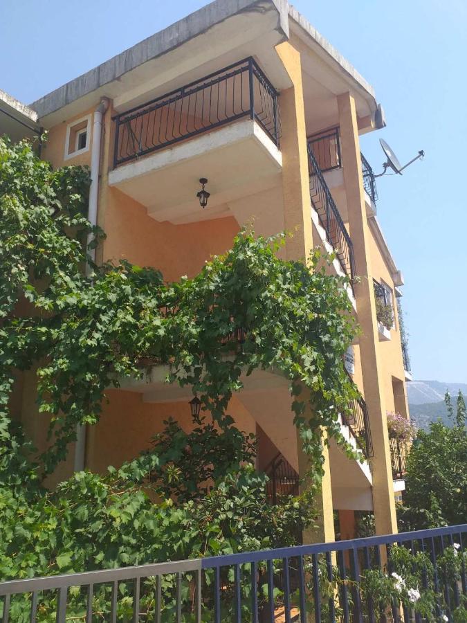 Djacic Budva