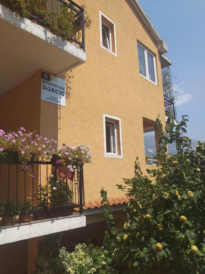 Guest house Djacic Budva