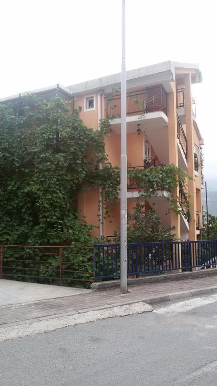 Djacic Guest house *
