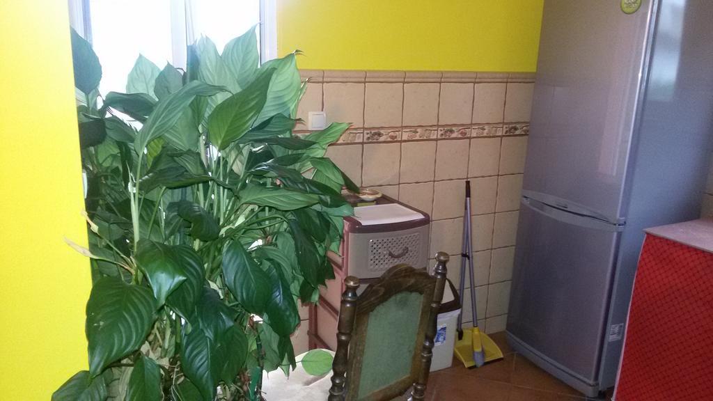 Djacic Guest house Budva