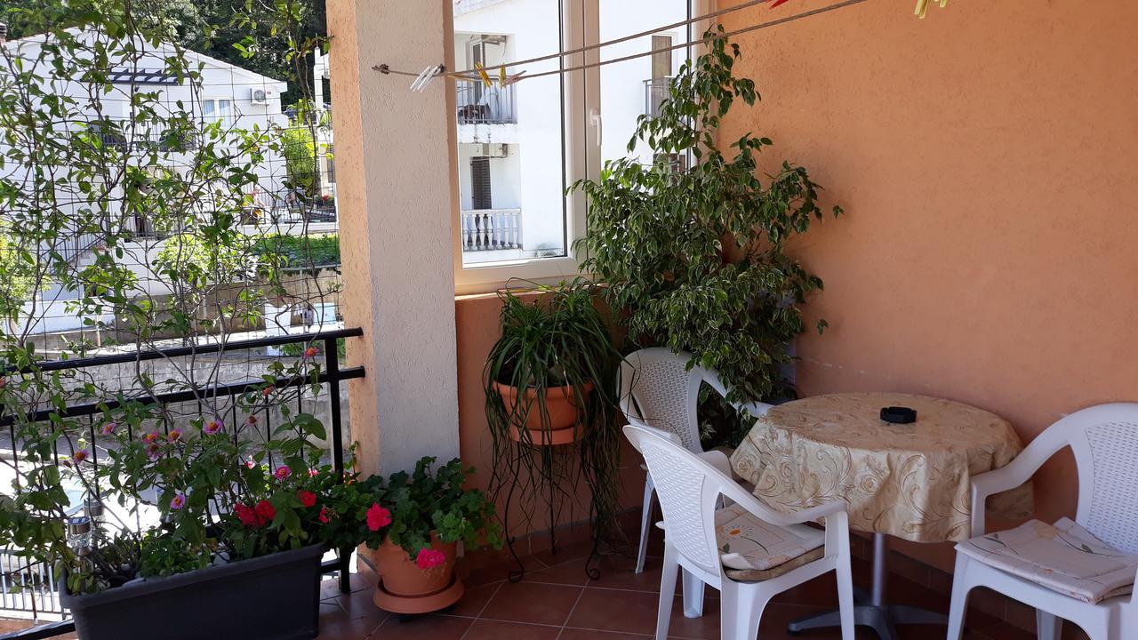 Guest house Djacic *