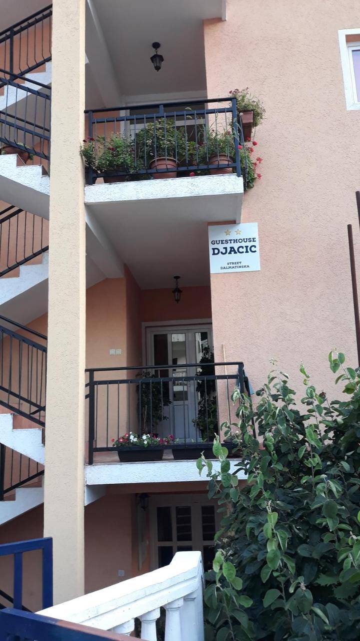 Guest house Djacic Budva